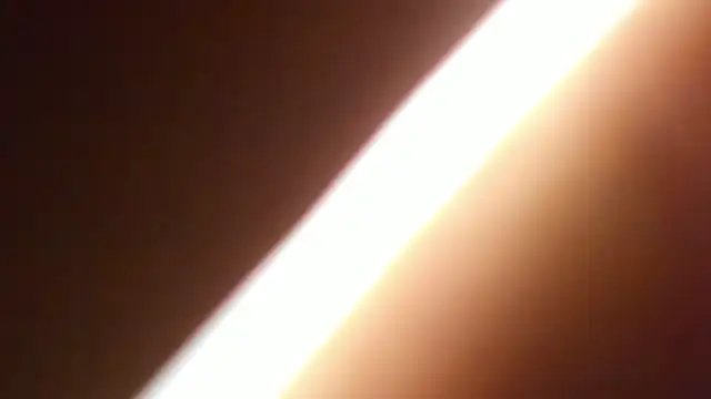 Snapshot of bichslutsgirls chatting on 2, 4, 2026 bichslutsgirls online show from 2, 4, 2026