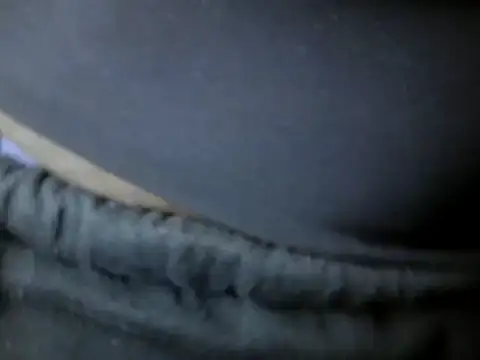 Sexy-Ebonise online show from 22, 3, 2026