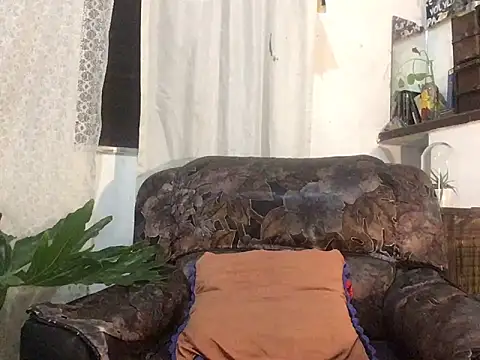 luckydick333 online show from 14, 3, 2026