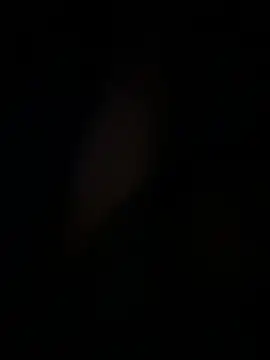 amartinezszz online show from 15, 3, 2026