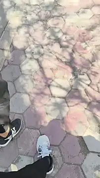 xyz 2giT online show from 24, 3, 2026