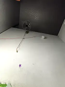 my33verything online show from 18, 3, 2026