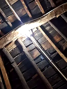 Alge882 online show from 5, 4, 2026