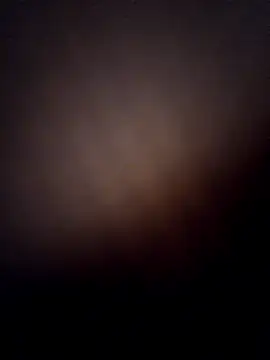 Alge882 online show from 6, 4, 2026