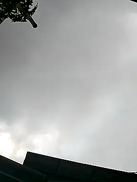 Snapshot of Cute-flowers chatting on 21, 3, 2026 Cute-flowers online show from 21, 3, 2026