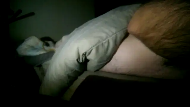 fntbzh56 online show from 23, 3, 2026