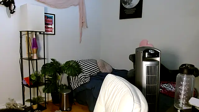 solifaye online show from 5, 4, 2026