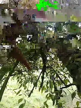 Snapshot of xjkedv chatting on 6, 6, 2026 xjkedv online show from 6, 6, 2026
