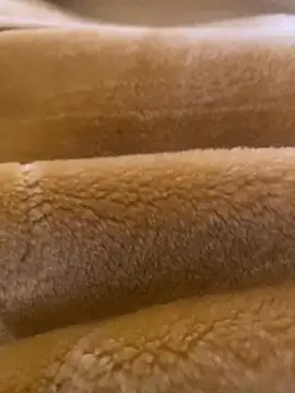 Snapshot of Ashwak_trans chatting on 4, 4, 2026 Ashwak trans online show from 4, 4, 2026