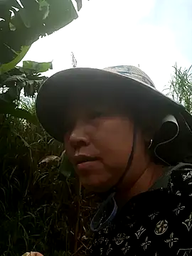 jikey-bibi online show from 12, 5, 2026