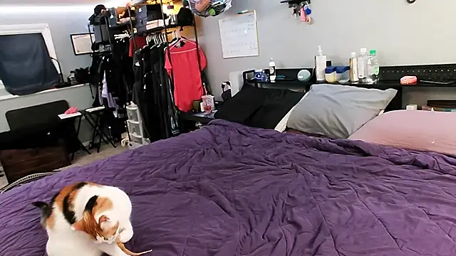 Snapshot of PolyCircus chatting on 12, 4, 2026 PolyCircus online show from 12, 4, 2026