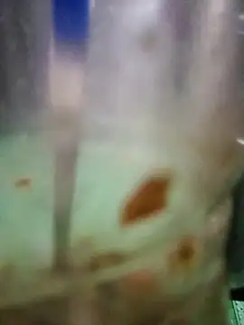 roc321 online show from 9, 4, 2026