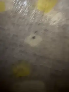 Snapshot of xezie chatting on 10, 4, 2026 xezie online show from 10, 4, 2026