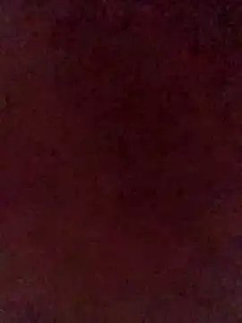 illdoitforetty online show from 14, 4, 2026