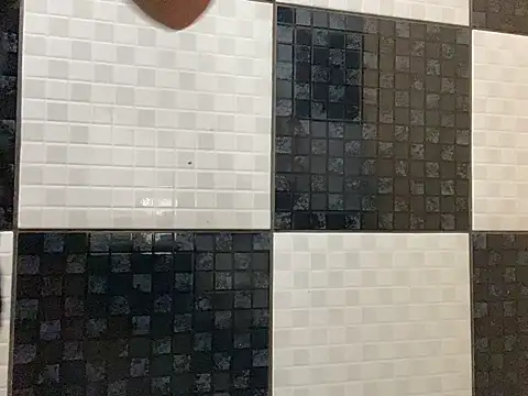 Snapshot of DignoDePutaria chatting on 15, 4, 2026 DignoDePutaria online show from 15, 4, 2026