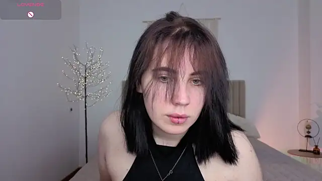 Shiraazsh  online show from 15, 5, 2026