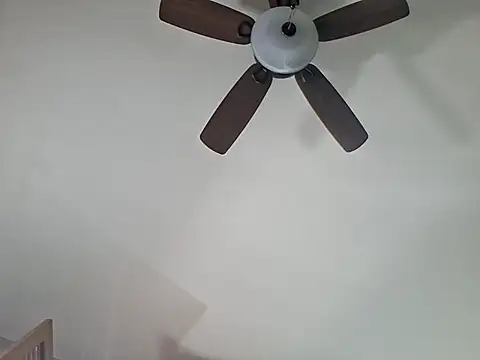 TokyHOEdrift online show from 26, 4, 2026