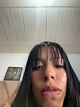 CataNexus Dg online show from 21, 7, 2026