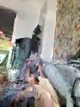 bellequeue147 online show from 21, 4, 2026