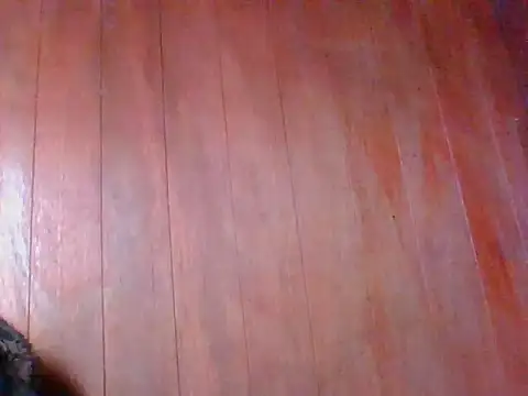 Annisof online show from 25, 4, 2026