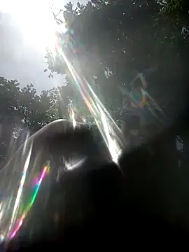 wildexhib online show from 25, 4, 2026