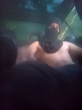 wildexhib online show from 30, 4, 2026