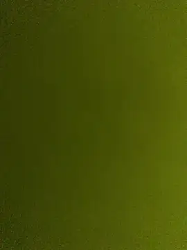 dzshbh2005 online show from 8, 5, 2026