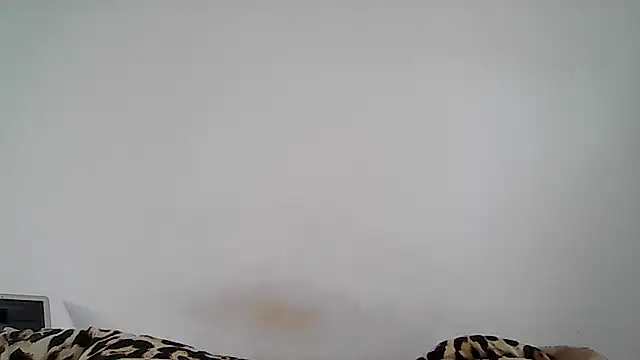 Snapshot of MissVegas chatting on 14, 6, 2026 MissVegas online show from 14, 6, 2026