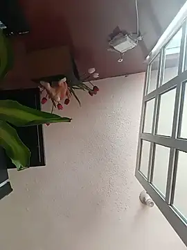 AlexxEngine online show from 14, 6, 2026
