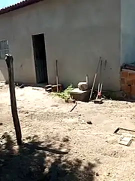  - -mary - - online show from 29, 5, 2026