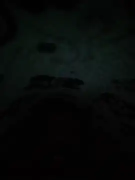sodahotsexy4 online show from 20, 7, 2026