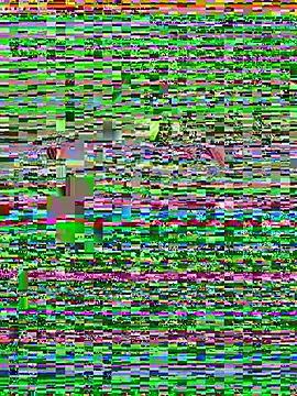 ck1998 02 online show from 28, 6, 2026
