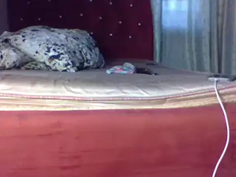 biggest black cock online show from 25, 6, 2026