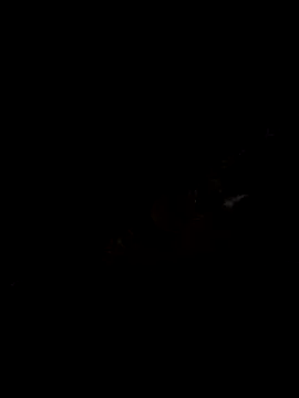 drukboy93 online show from 6, 6, 2026