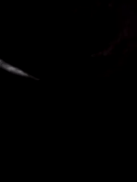 whitecock8-8 online show from 15, 7, 2026