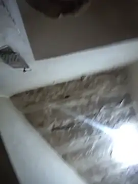 riyana tai online show from 21, 7, 2026