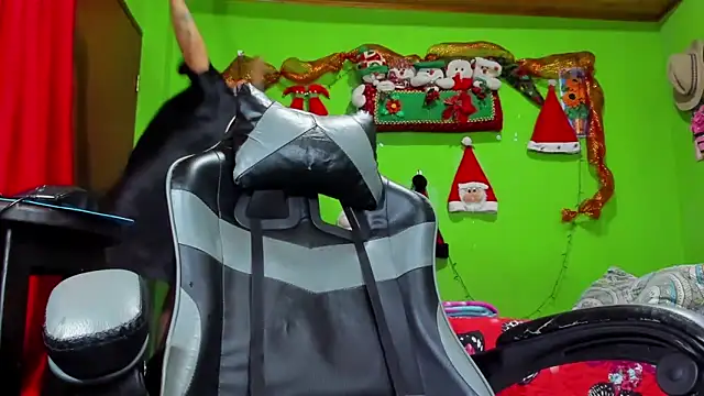 Snapshot of Arian_Pervert chatting on 10, 11, 2025 Arian Pervert online show from 10, 11, 2025