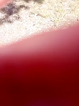 malachicca9 online show from 12, 6, 2026