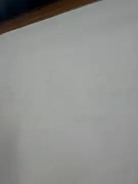 Snapshot of MegaanRouse_ chatting on 8, 7, 2026 MegaanRouse online show from 8, 7, 2026