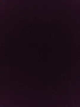 Snapshot of noirlynnexo chatting on 6, 8, 2026 noirlynnexo online show from 6, 8, 2026