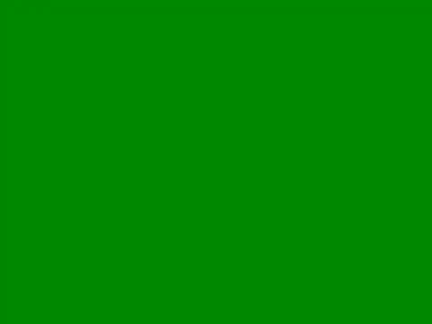 Perk S online show from 6, 8, 2026