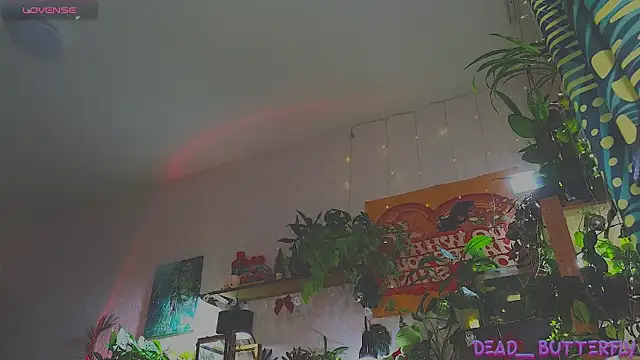 Dead Butterfly online show from 18, 12, 2024