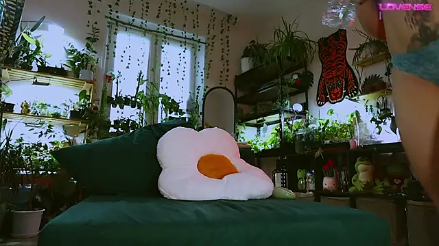 Dead Butterfly online show from 12, 5, 2026
