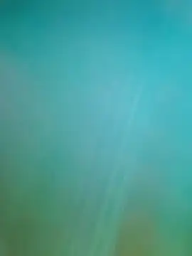 Snapshot of Steveschaw chatting on 19, 2, 2025 Steveschaw online show from 19, 2, 2025