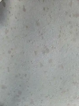 415cali925 online show from 17, 3, 2026