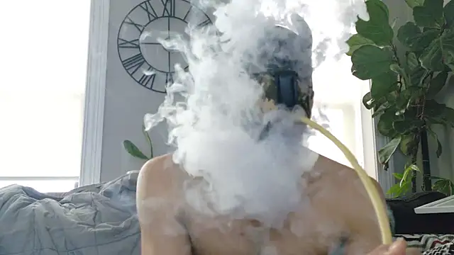 Snapshot of bestofdoseswirls chatting on 11, 4, 2026 bestofdoseswirls online show from 11, 4, 2026