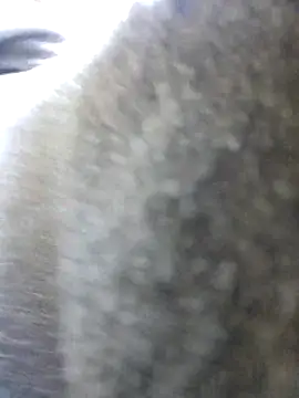 UncutHammer69 online show from 26, 10, 2025