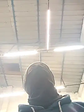 Bengali BULL1 online show from 7, 2, 2026