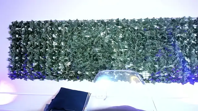 Snapshot of AbbyTaylorr chatting on 2, 3, 2026 AbbyTaylorr online show from 2, 3, 2026