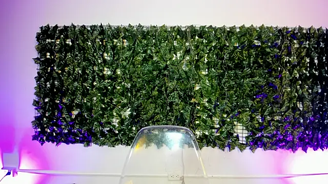 Snapshot of AbbyTaylorr chatting on 2, 4, 2026 AbbyTaylorr online show from 2, 4, 2026